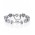 Pandora Bracelet-Silver Our Special Day Complete Jewelry