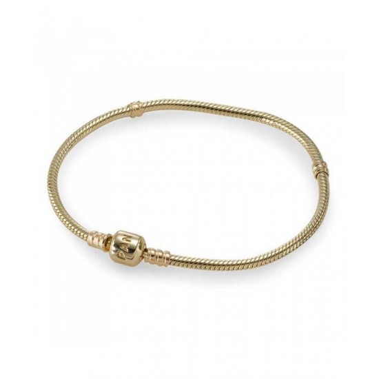 Pandora Bracelet-14ct Carat Gold Jewelry