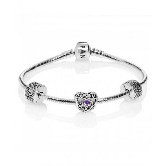 Pandora Bracelet-February Birthstone Complete Outlet Store